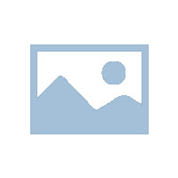 鄭州市專業消殺除四害公司